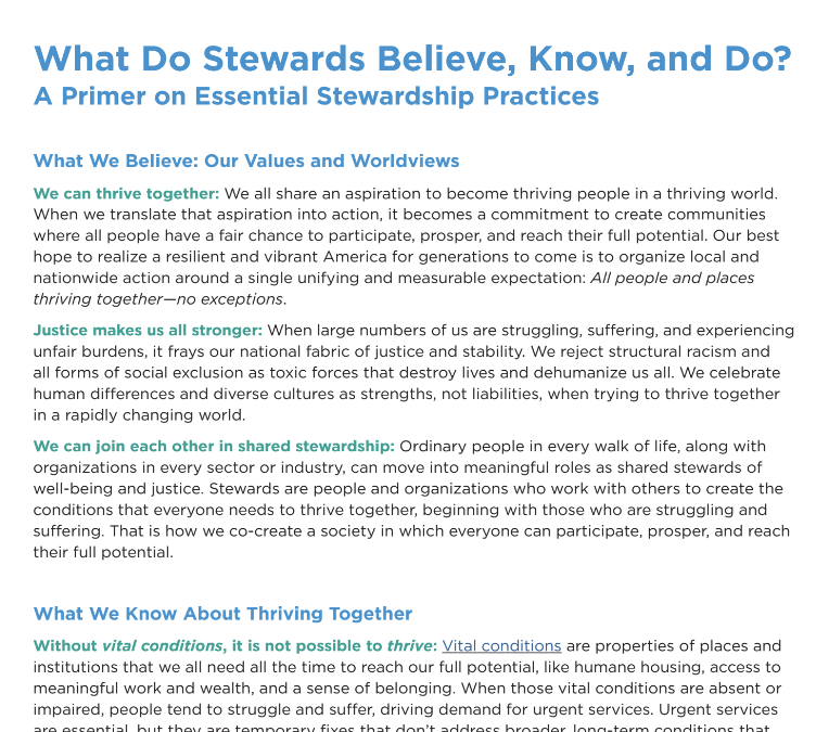 What Do Stewards Believe, Know, and Do?