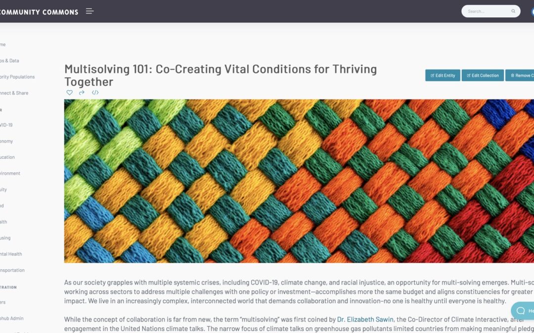 Multisolving 101: Co-Creating Vital Conditions for Thriving Together